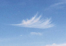 feather cloud
