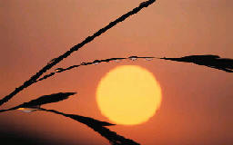 sun rise